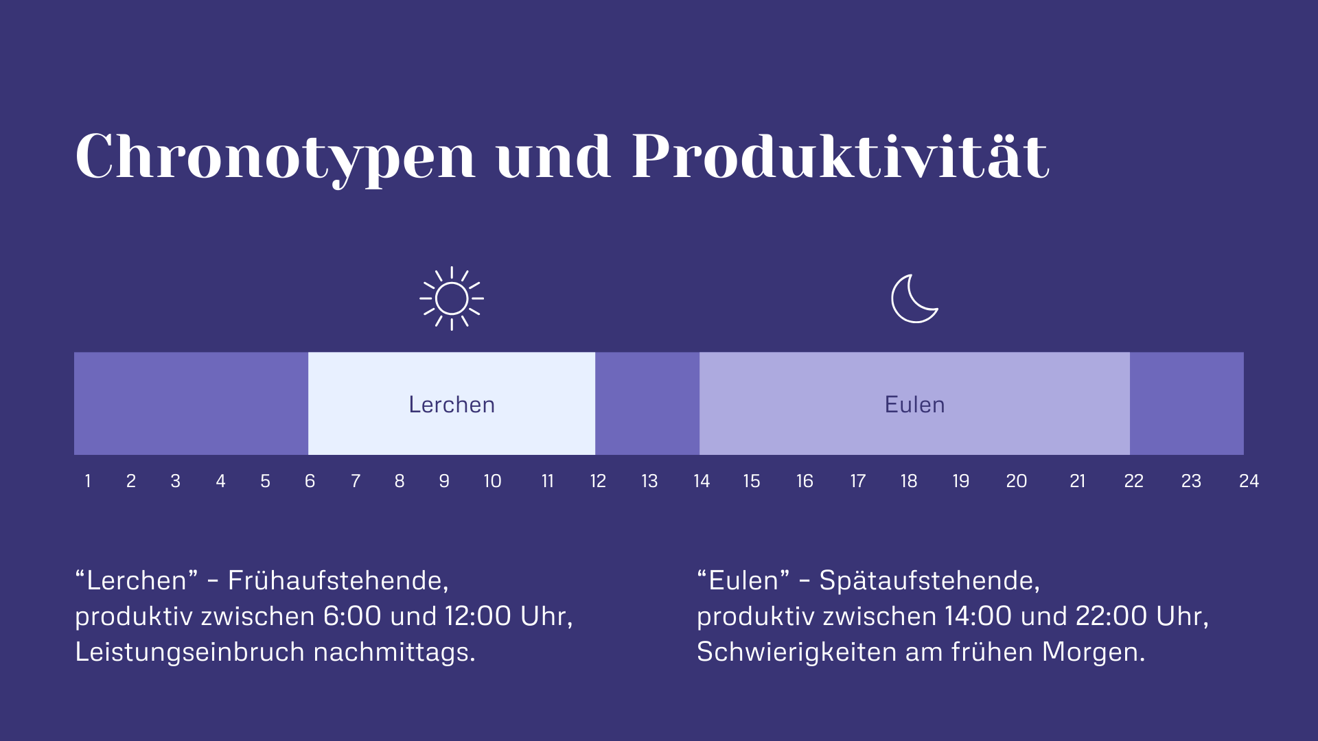 Chronotypen und Produktivität