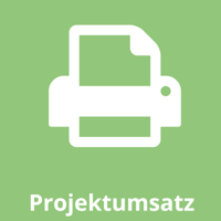 Projektumsatz Projektumsatz