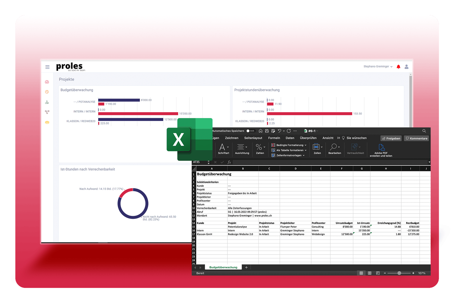 Projekt-Umsatzbudgets