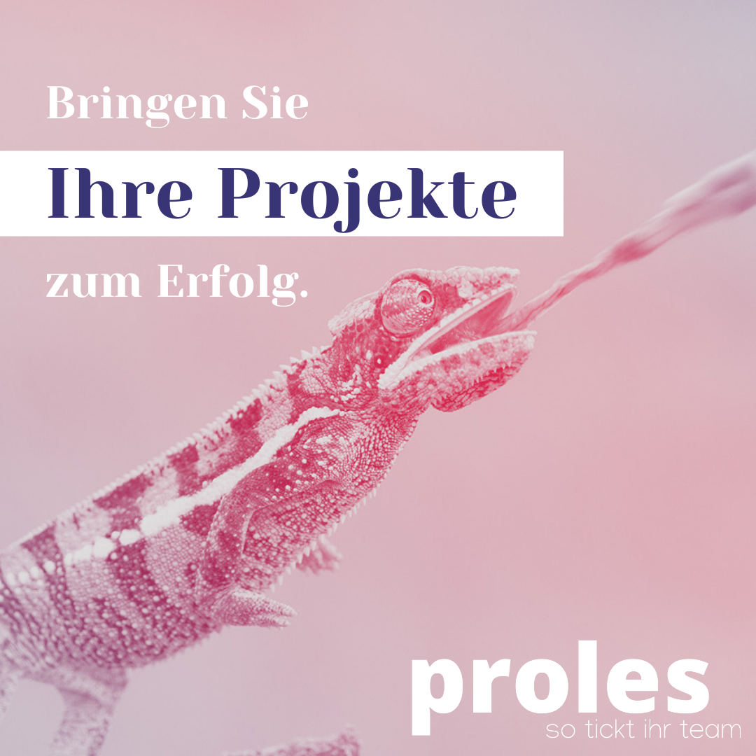 Bringen Sie Ihre Projekte zum Erfolg