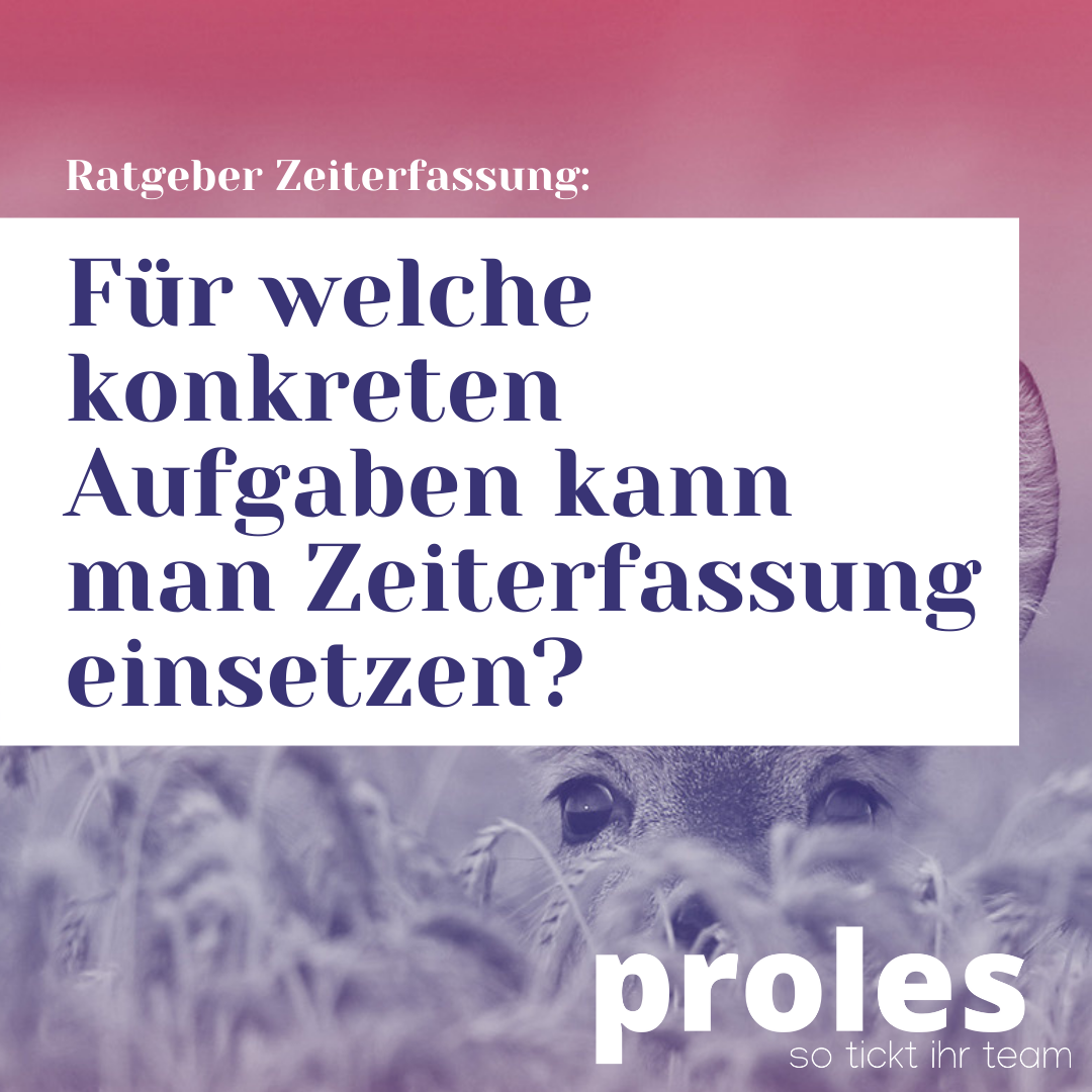 Für welche konkreten Aufgaben kann man Zeiterfassung einsetzen?
