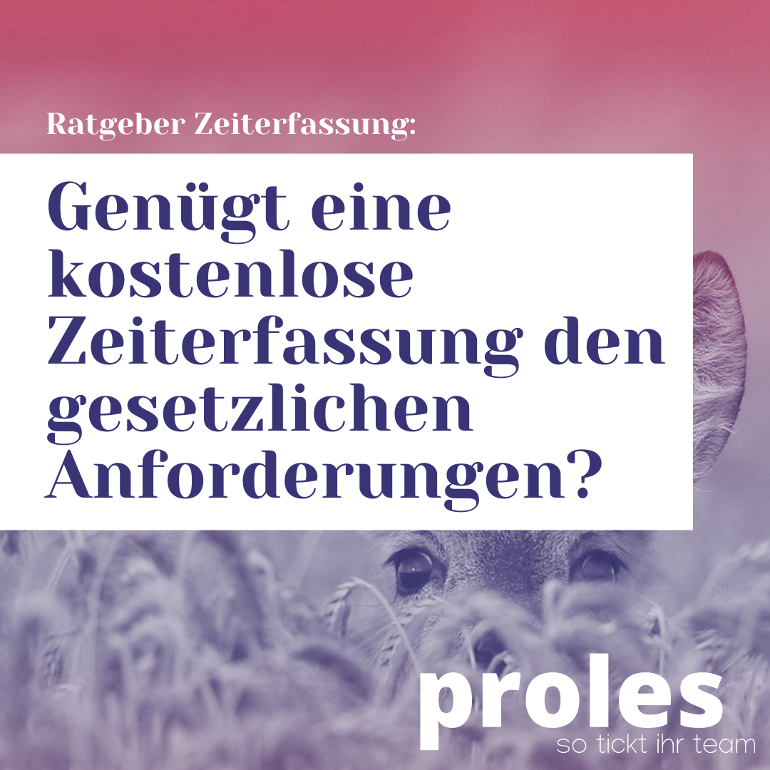 Genügt eine kostenlose Zeiterfassung den gesetzlichen Anforderungen?