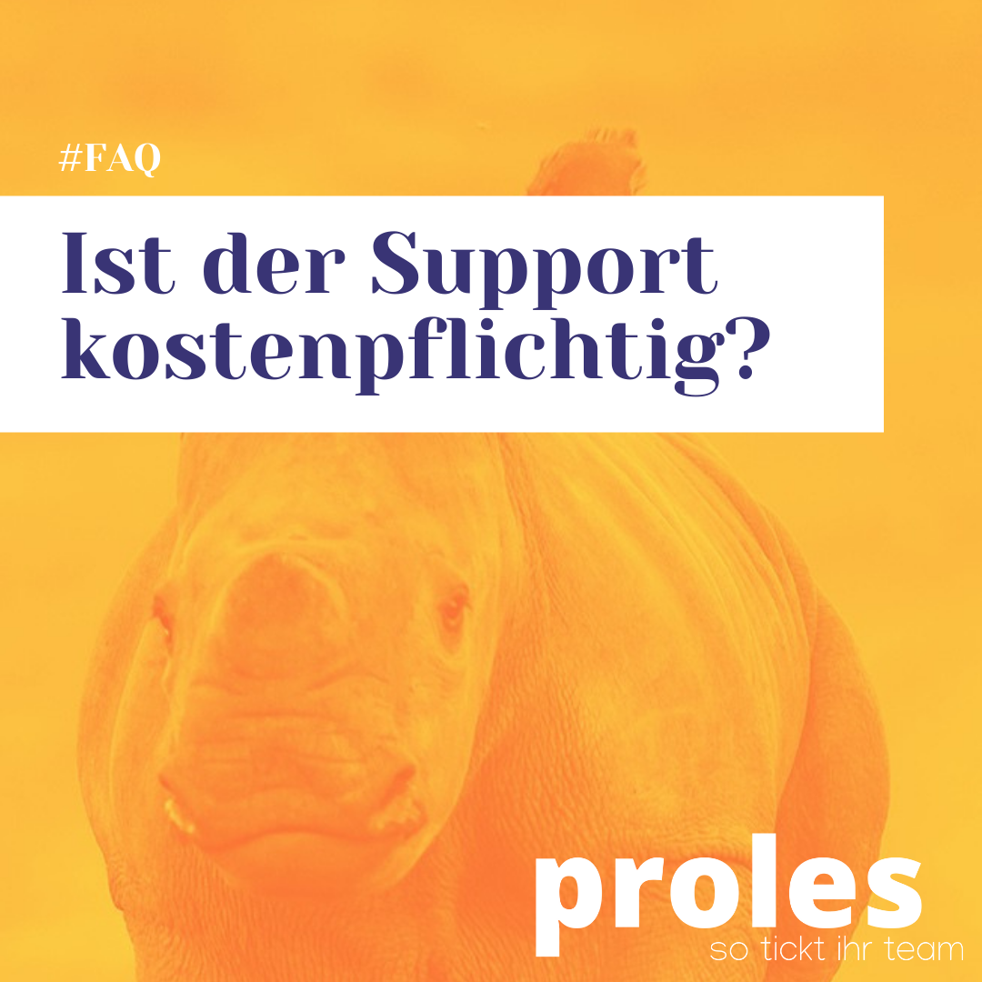 Ist der Support kostenpflichtig?