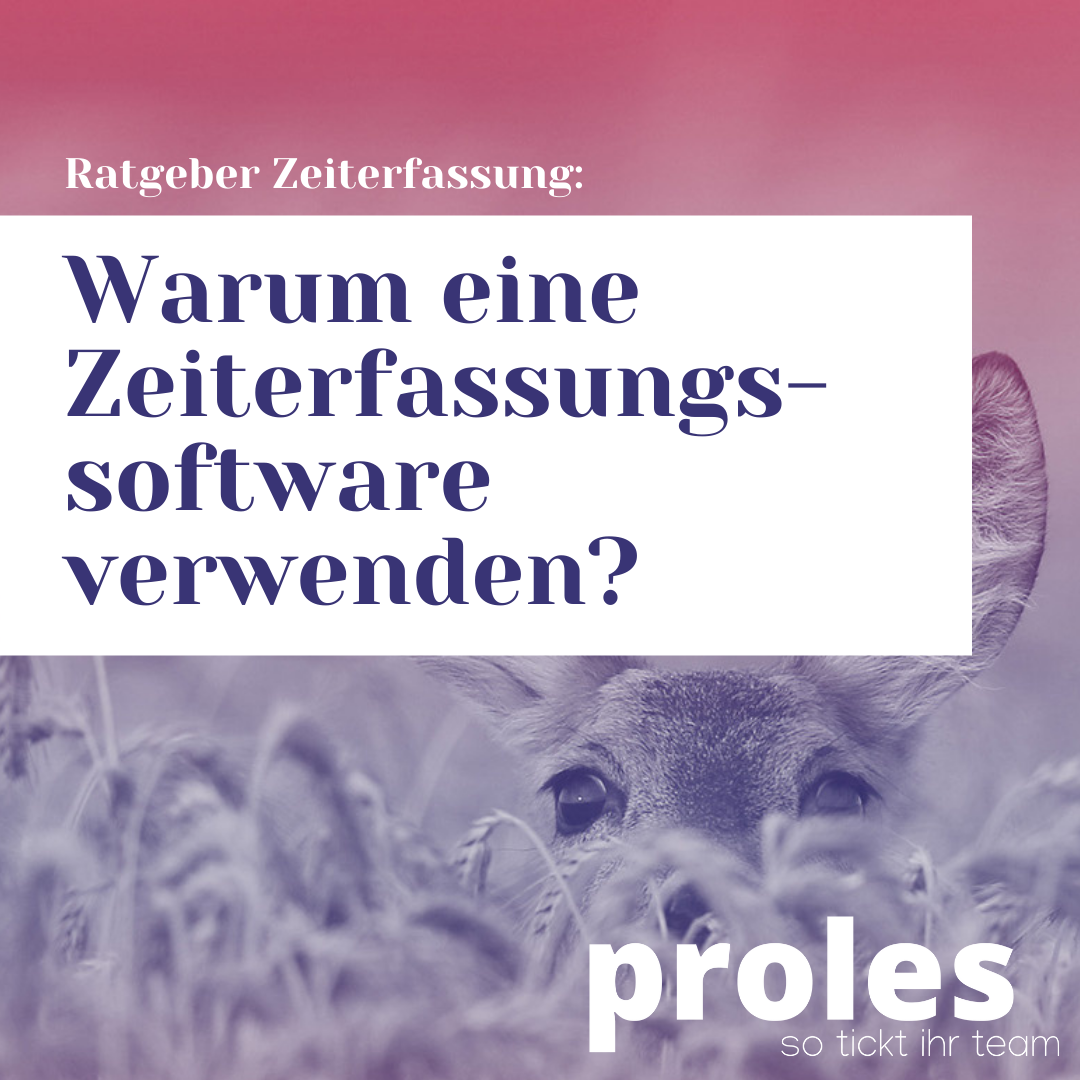 Warum eine Zeiterfassungssoftware verwenden?