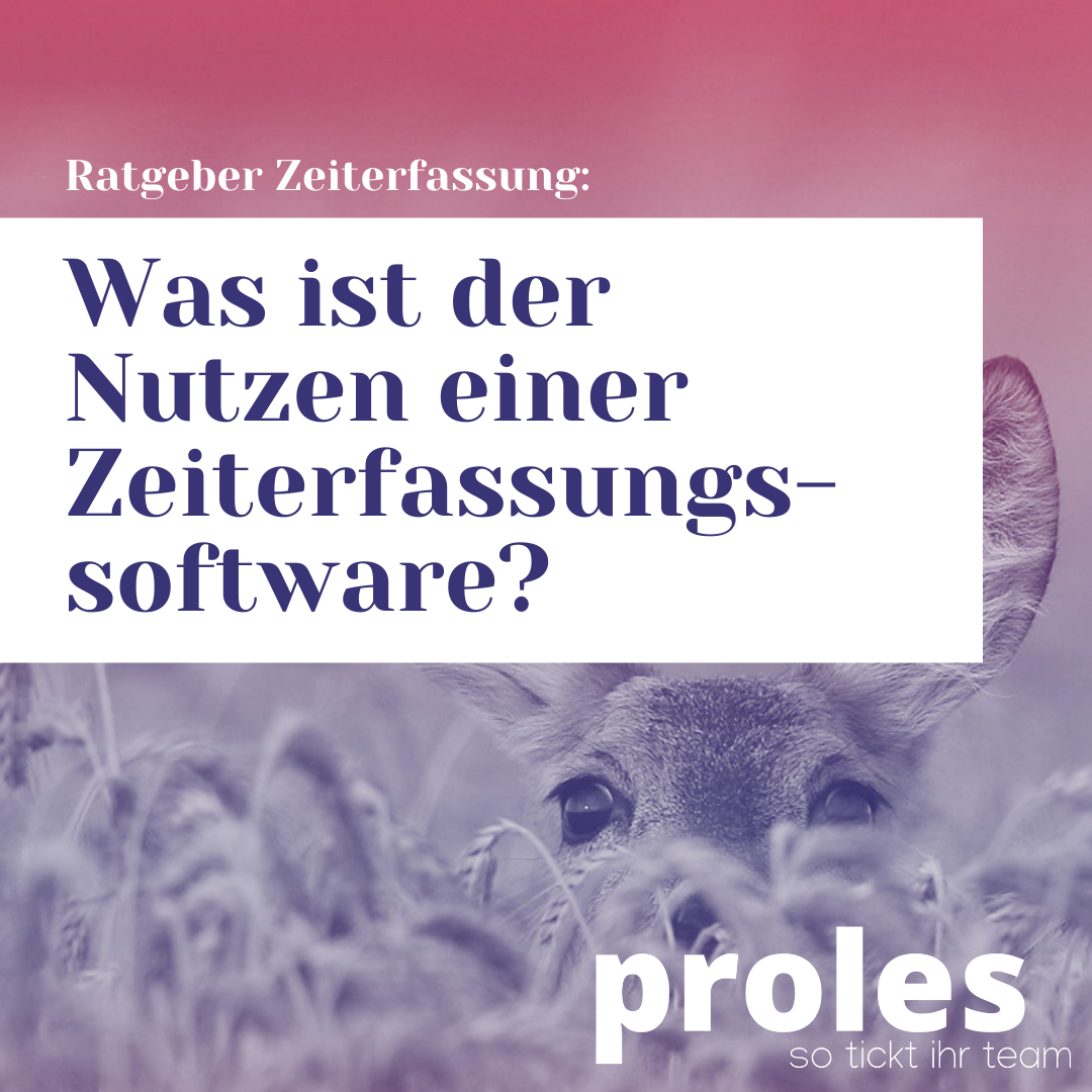 Was ist der Nutzen einer Zeiterfassungssoftware?