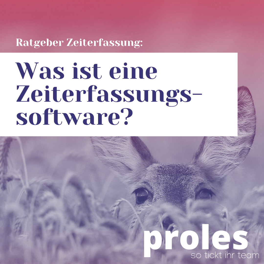 Was ist eine Zeiterfassungssoftware?