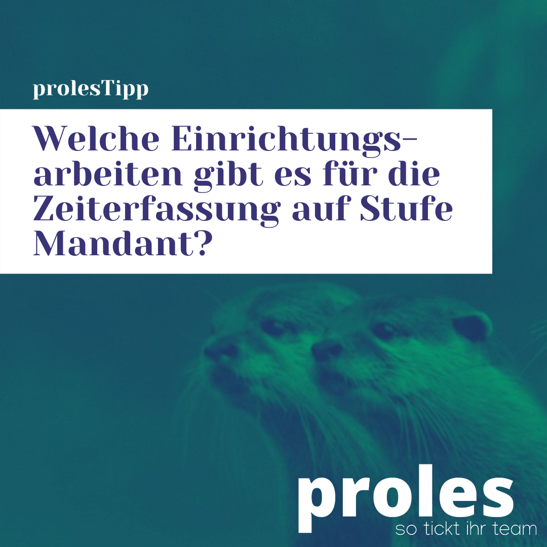 Welche Einrichtungsarbeiten gibt es für die Zeiterfassung auf Stufe Mandant?