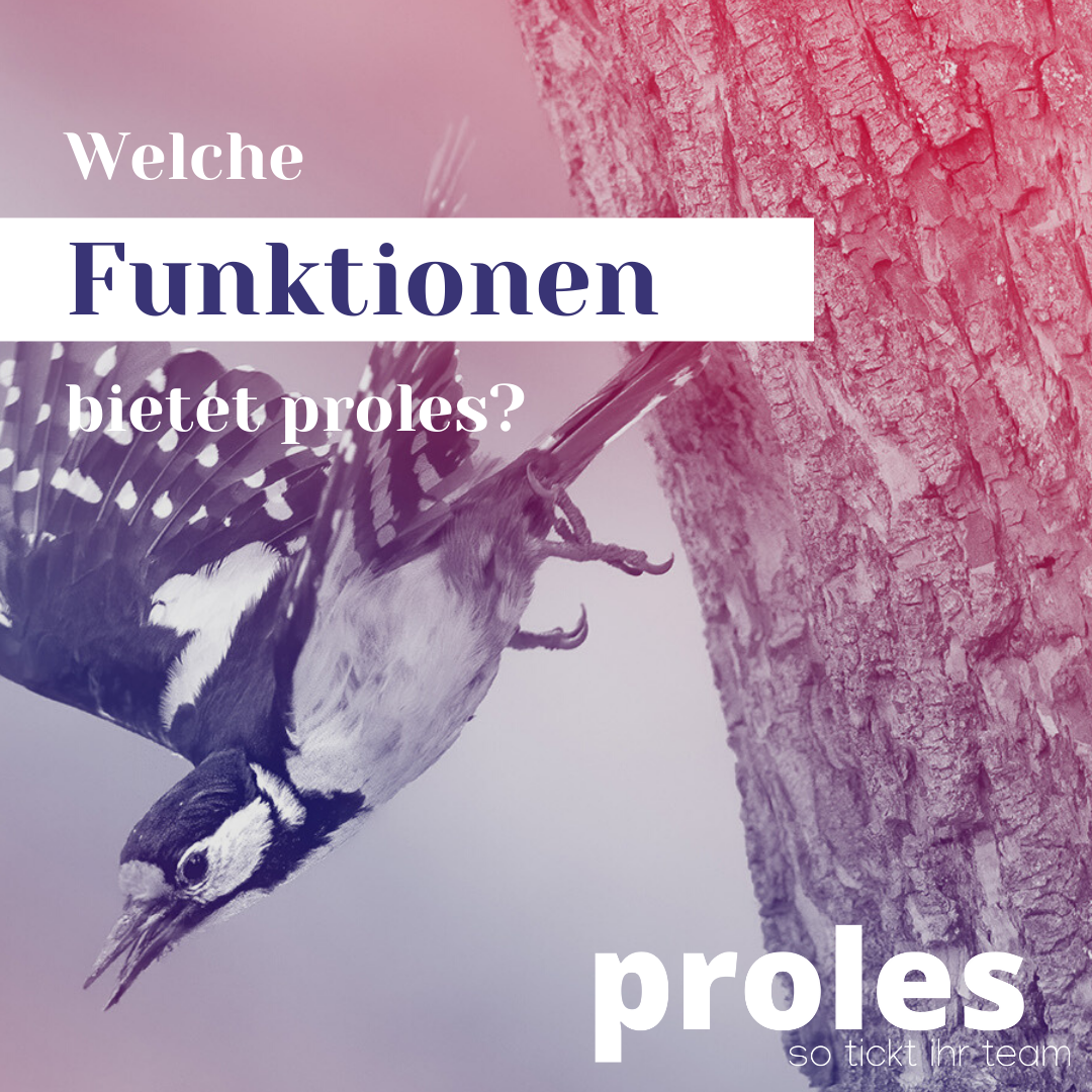 Welche Funktionen bietet proles?