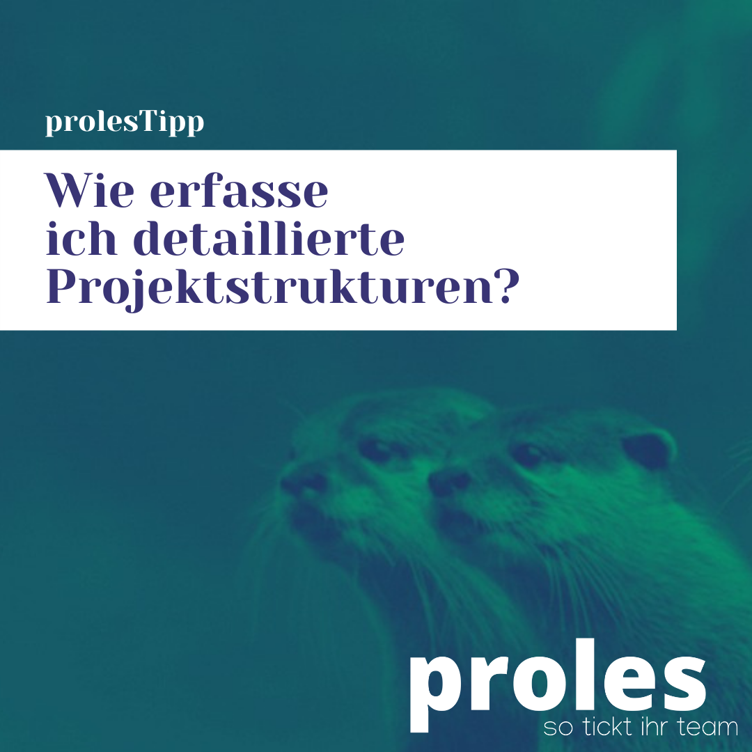 Wie erfasse ich detaillierte Projektstrukturen?