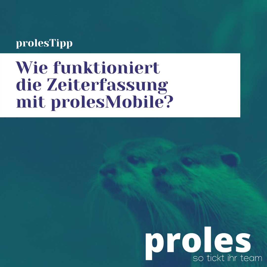 Wie funktioniert die Zeiterfassung mit prolesMobile?