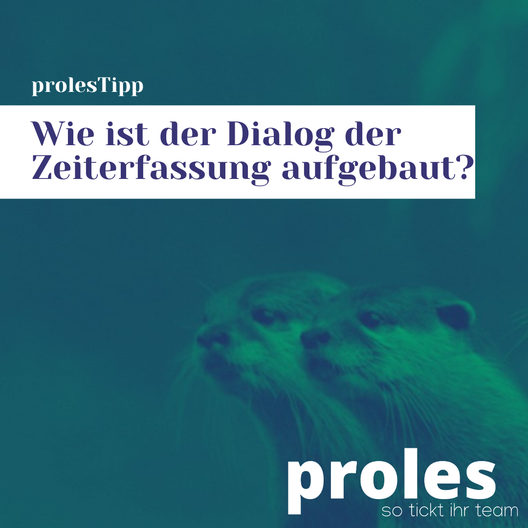 Wie ist der Dialog der Zeiterfassung aufgebaut?