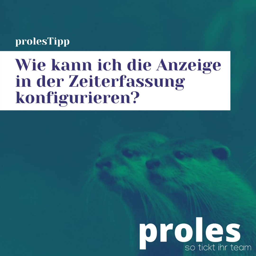 Wie kann ich die Anzeige in der Zeiterfassung konfigurieren?