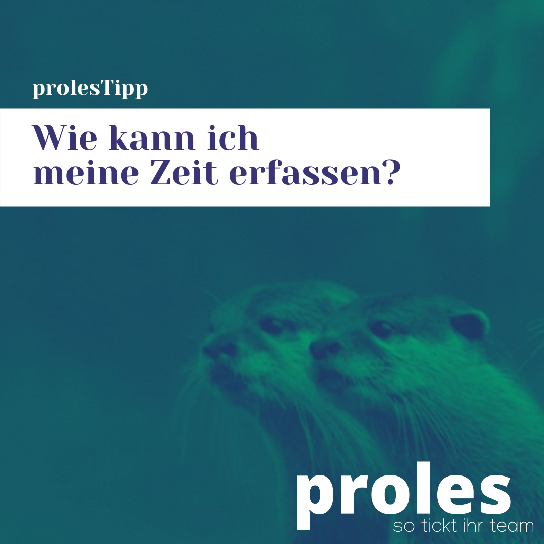 Wie kann ich meine Zeit erfassen?