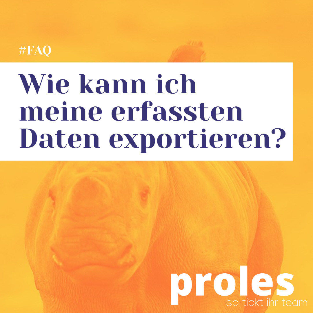 Wie kann ich meine erfassten Daten exportieren?