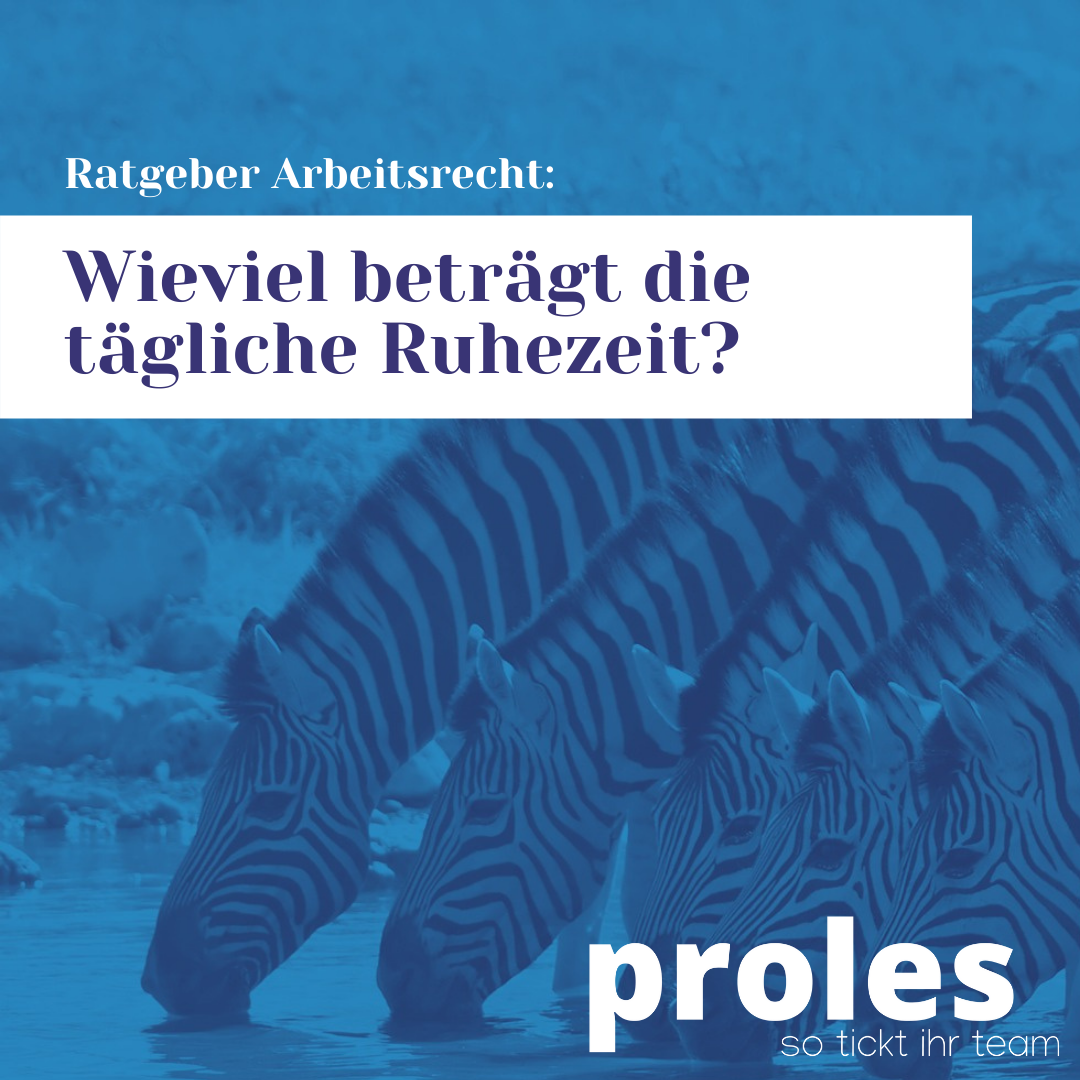 Wieviel beträgt die tägliche Ruhezeit?