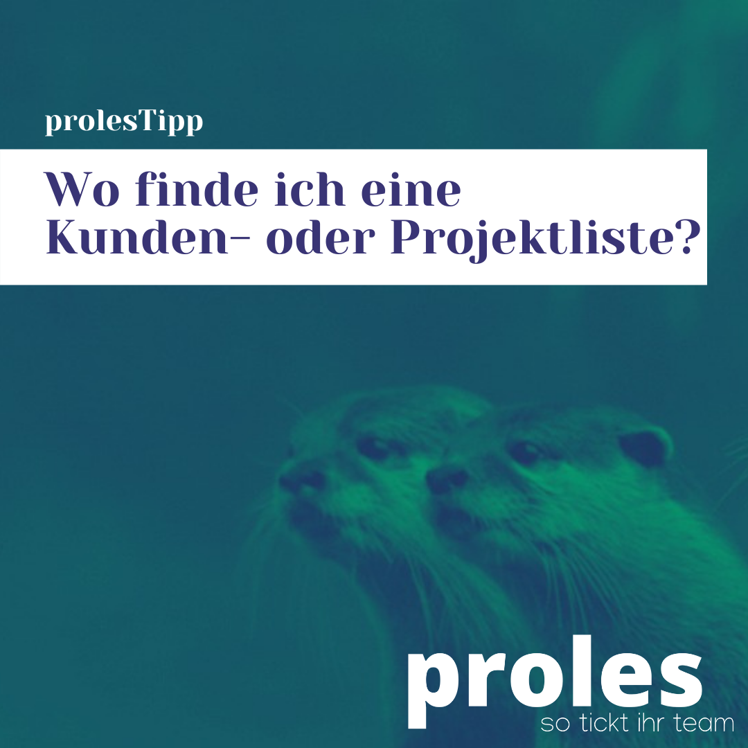 Wo finde ich eine Kunden- oder Projektliste?