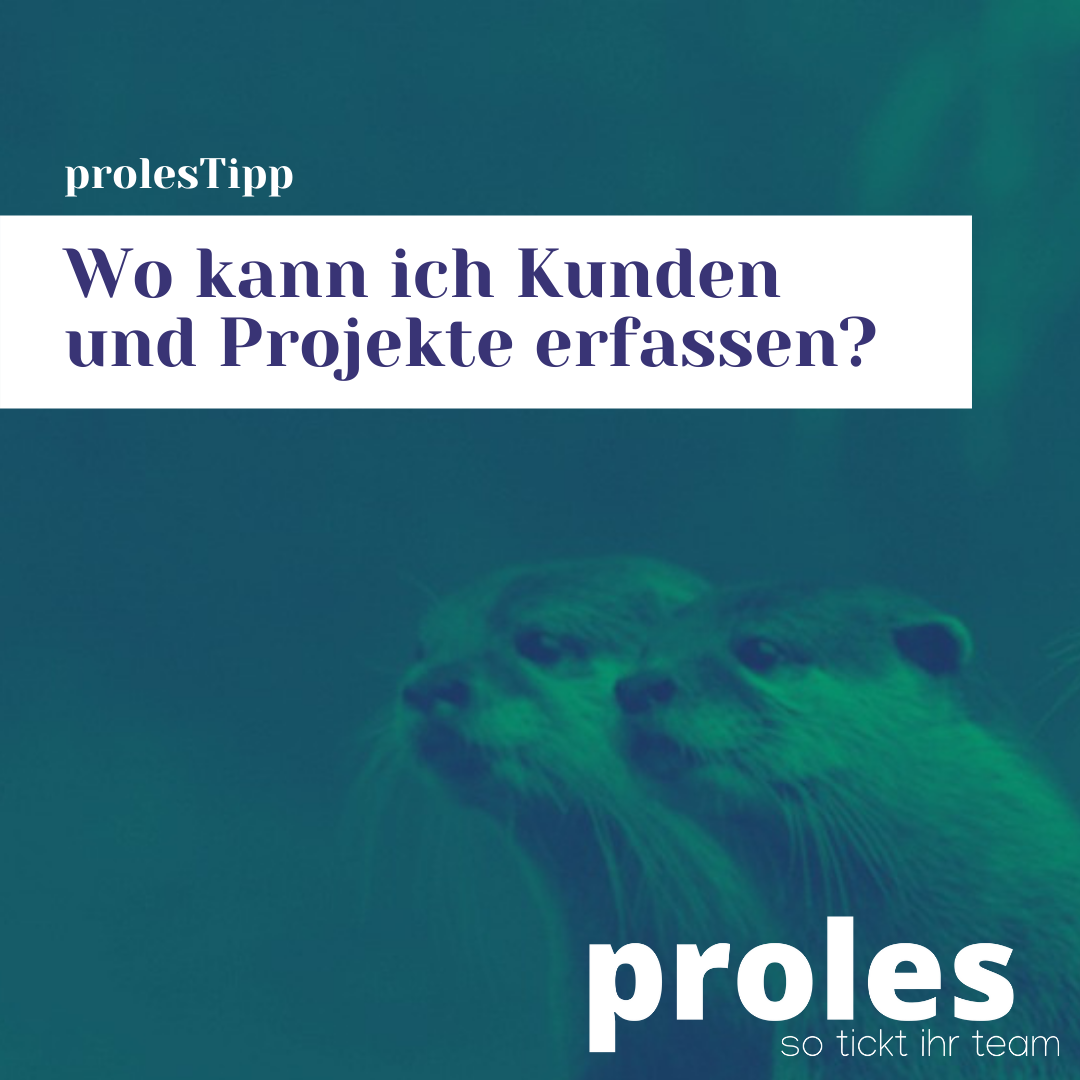 Wo kann ich Kunden und Projekte erfassen?