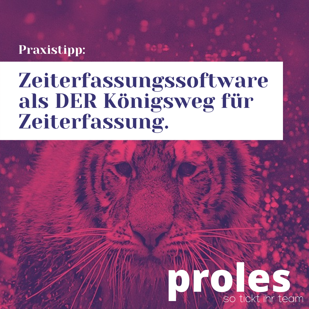 Zeiterfassungssoftware als DER Königsweg für Zeiterfassung