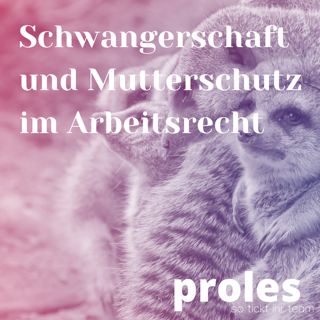 proles - Schwangerschaft und Mutterschutz im Arbeitsrecht - Social Media 1080x1080