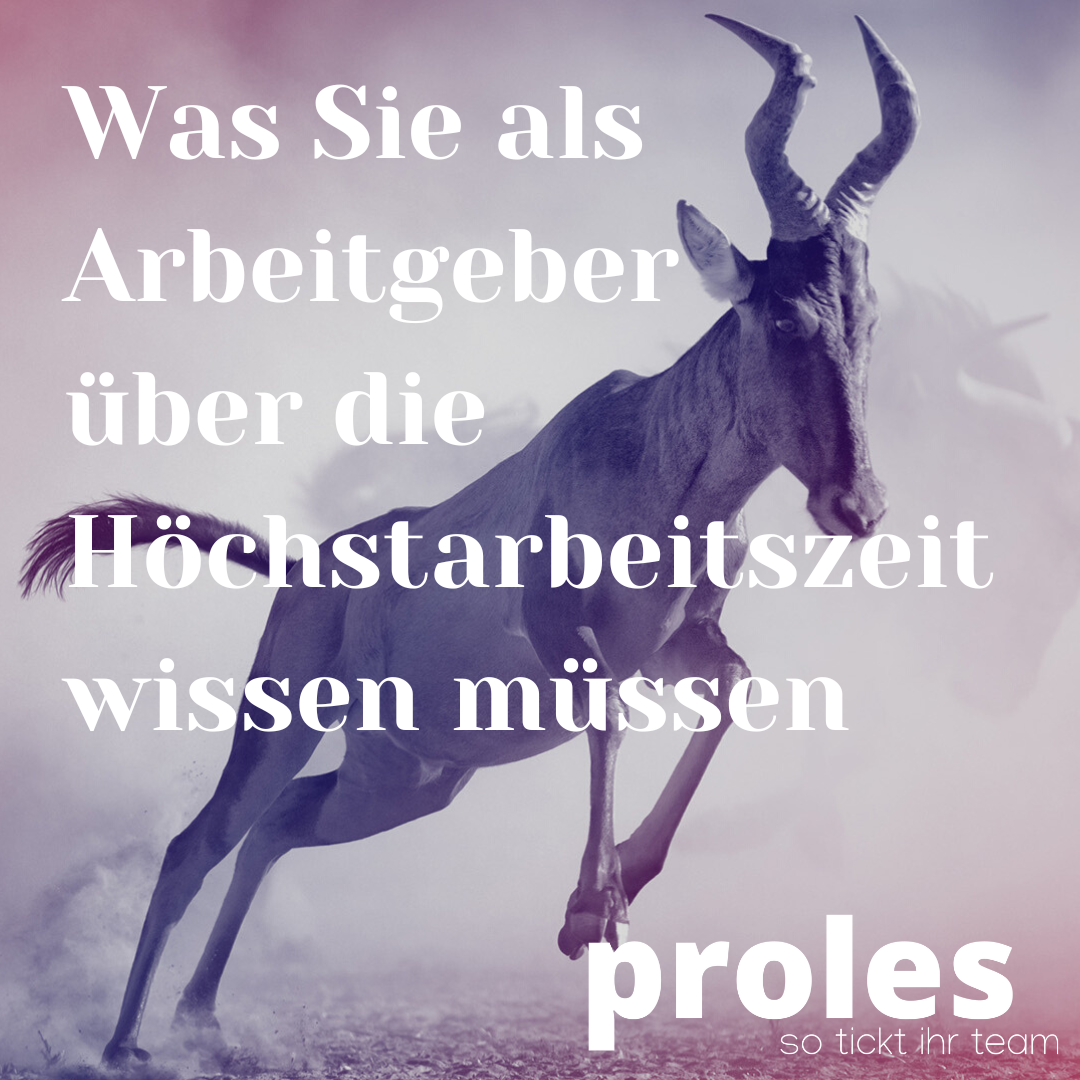 Was Sie als Arbeitgeber über die Höchstarbeitszeit wissen müssen