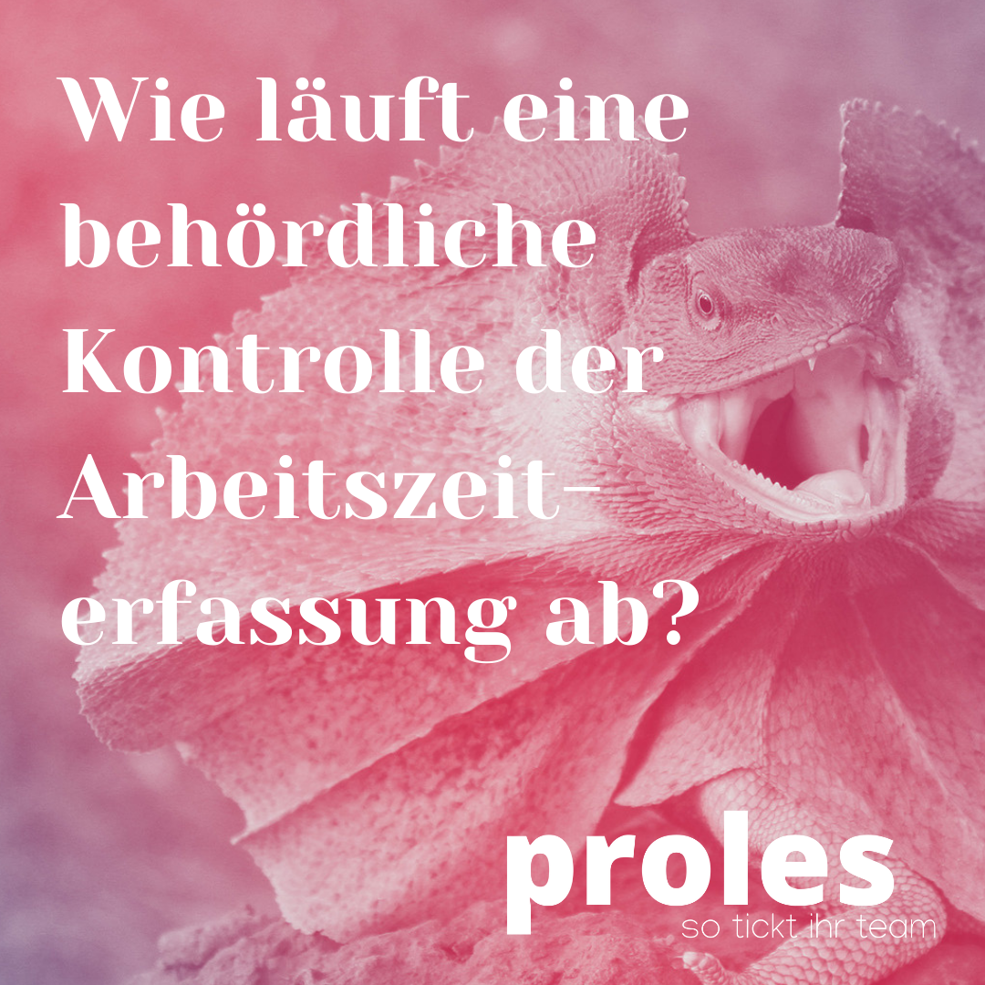 Wie läuft eine behördliche Kontrolle der Arbeitszeiterfassung ab und wie bereiten Sie sich optimal darauf vor?